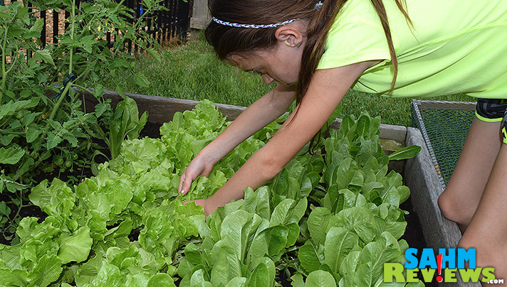 Encourage your kids to eat better by letting them help in the garden. - SahmReviews.com #PGeveryday