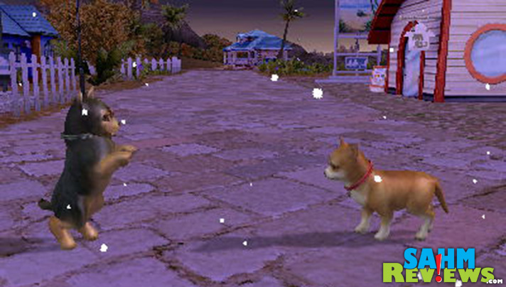 Interact with other characters and other pets in #PetzBeach for 3DS. - SahmReviews.com