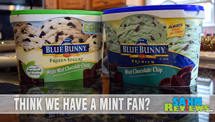 Ice Cream treats are reserved just for summer! - SahmReviews.com #FinalConeDown #BlueBunnyWinBig