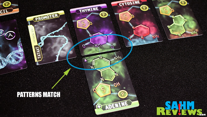 Linkage by Genius Games should be classroom-required for any teacher in the sciences. Find out how RNA and DNA compare with this new card game! - SahmReviews.com