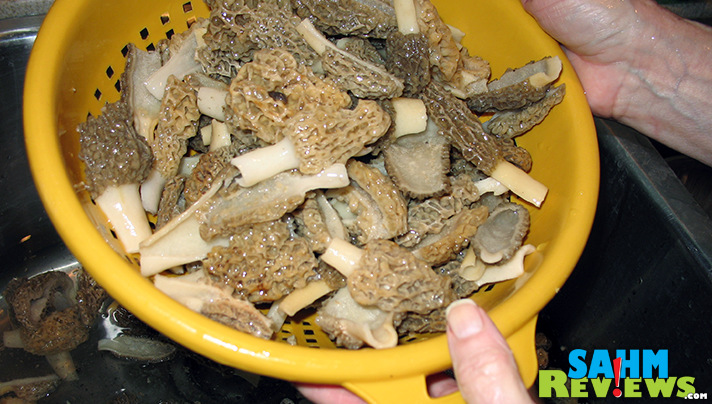 The hunt for the morel mushroom is half the fun! The taste is worth the time. - SahmReviews.com