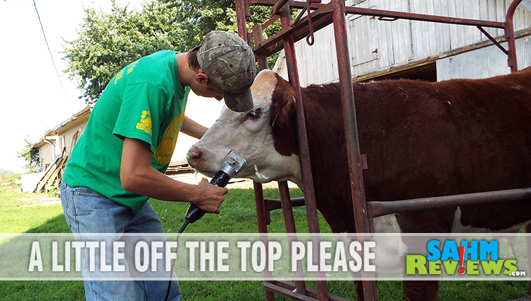 4-H is more than just livestock and fairs. It teaches leadership and more. - SahmReviews.com