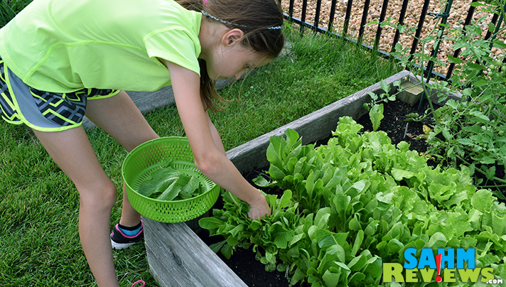 Encourage your kids to help in the garden. - SahmReviews.com #Clorox2