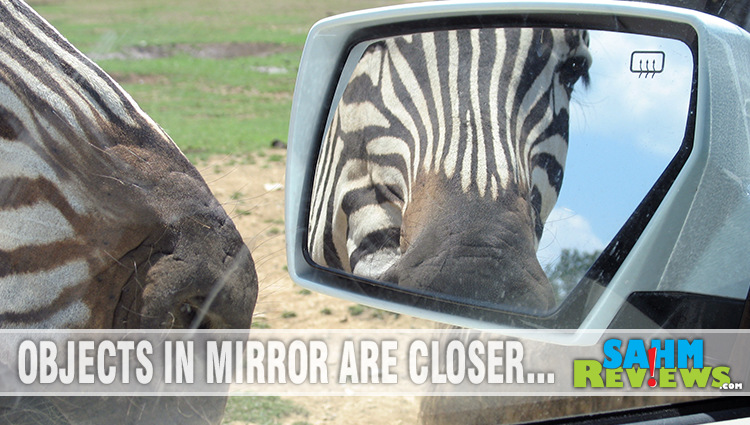 Get up close with the animals without leaving your car when you visit Harmony Park Safari Zoo in Huntsville, Alabama. - SahmReviews.com