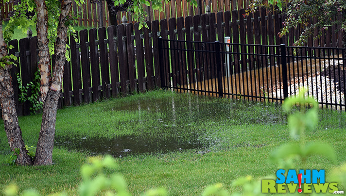 When the yard gets flooded... go back inside and play a game about animals on an ark. - SahmReviews.com