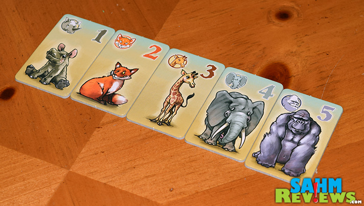 Victory points in Animals on Board aren't simply 2 by 2. Herds give bonuses! - SahmReviews.com