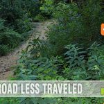 Are you prepared to take the road less traveled? - SahmReviews.com