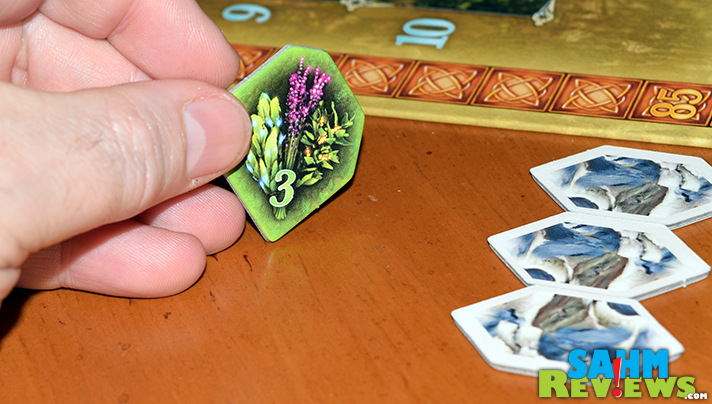 Just because it is from a company known for kid's games, doesn't mean Adventure Land isn't for the whole family! Check out HABA USA's latest hobby game! - SahmReviews.com