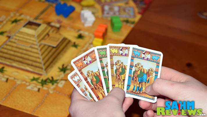 In Camel Up by Z-Man Games, players hedge bets at the local camel race. Gambling on which will win and lose, the player with the most money at the end wins. - SahmReviews.com