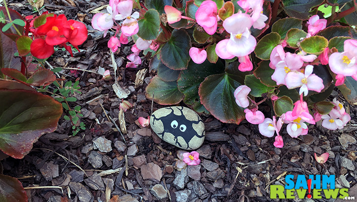 Rock painting is turning into an annual affair at our household! This year we made a couple dozen and hid them around our town! - SahmReviews.com