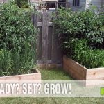 Gardening tools are essential to maintaining a backyard garden. Stock your shed with these basic garden tools. - SahmReviews.com