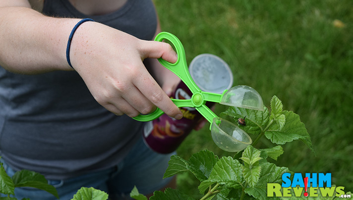 Skip the lawn chemicals. Use a toy to get rid of Japanese Beetles. - SahmReviews.com