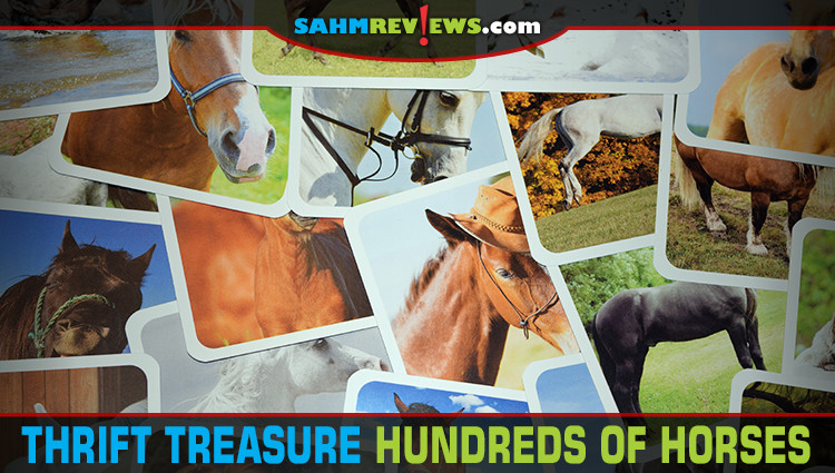 Thrift Treasure: Hundreds of Horses Game