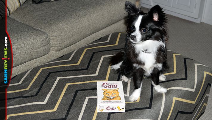 Our puppy found Cantankerous Cats by Breaking Games too enticing. Thankfully replacement rules were easy to find and we could finally enjoy the game! - SahmReviews.com