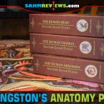 Not only are Dr. Livingston's anatomy jigsaw puzzles fun to assemble, but Genius Games made them 100% medically accurate so they are educational too! - SahmReviews.com