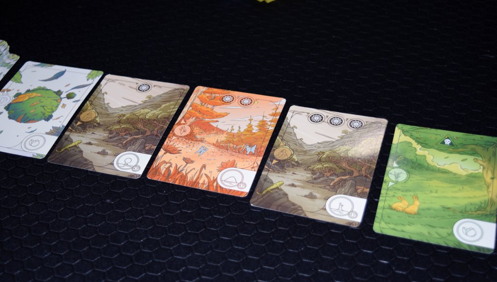 Player choice of Biome cards in Evergreen board game from Horrible Guild. - SahmReviews.com