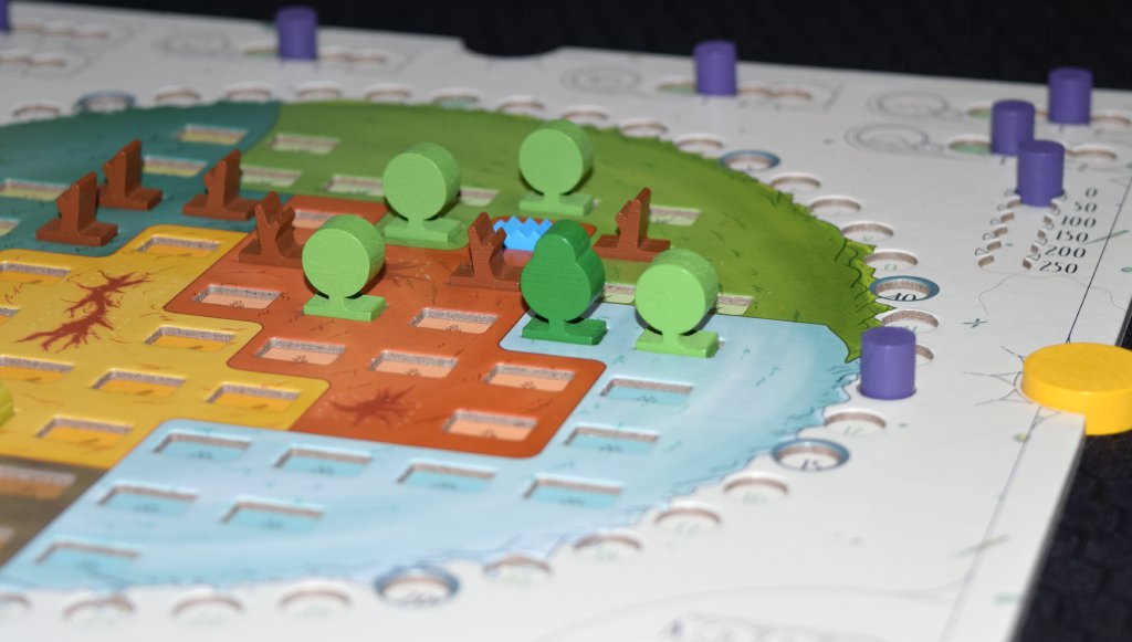 Trees need sunshine in order to score in Evergreen board game so spacing is key. - SahmReviews.com