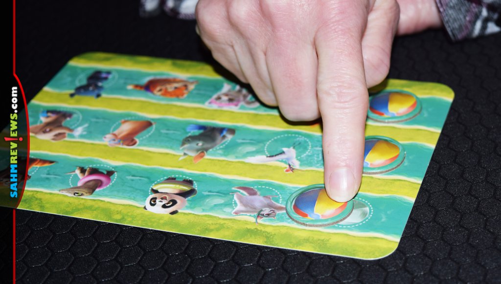 Find all the animals to win Turtle Splash kids game. - SahmReviews.com