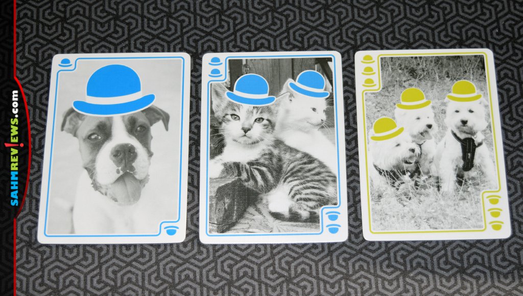 You Gotta Be Kitten Me - Example of the different values of cards.