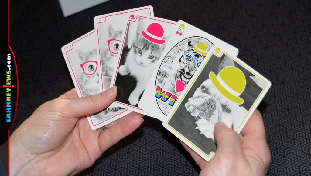 You Gotta Be Kitten Me - Example of a hand of cards